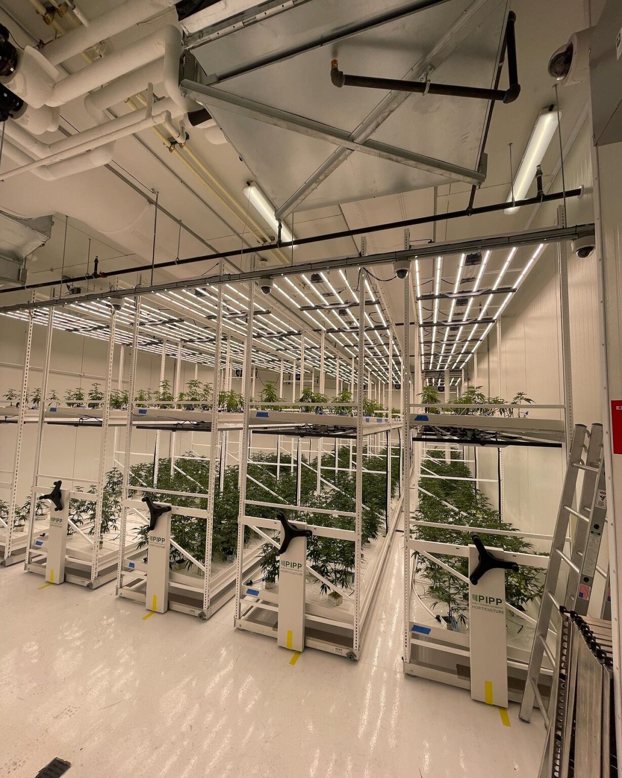 Growing/Cultivation/ Dispensary Facilities Archives | CSI Engineering